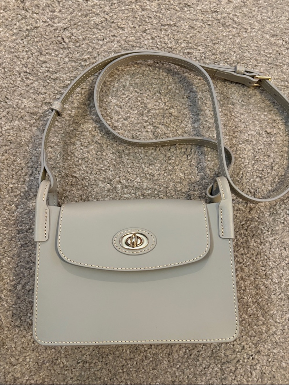 Dooney & Bourke Classic Structured Crossbody Bag in Light Gray (Pinky)